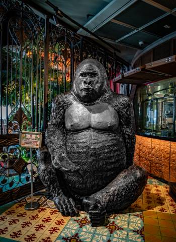 Quick Service Vs. Fine Dining Restaurants